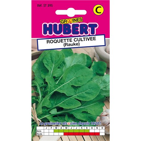Graines de Roquette Cultivée - 3 grammes