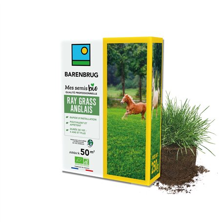 BARENBRUG - Ray-grass anglais BIO - Rapide d’Installation - Polyvalent et Appétent - Durée de Vie 4 ans et + - Production Alimen