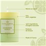 Bougie Parfumée Mandarine Basilic 180g – Cire de Soja 100% Végétale – Fabriquée en France – Mèche Coton – Senteur Agrumes & Jasm