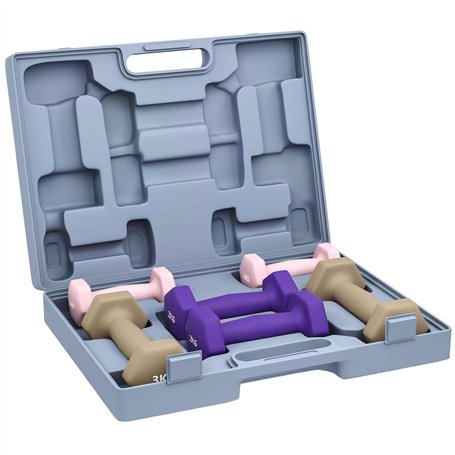 SPORTNOW Ensemble d'haltères hexagonaux total 12 kg avec mallette