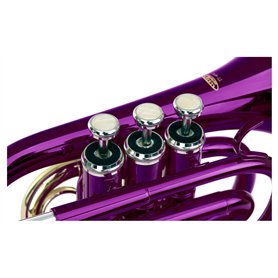 Ninja Academy NL - Jeu de fête - Dégustation et succès pour votre examen de ninja - Pour toute la famille - Langue: Néerlandais