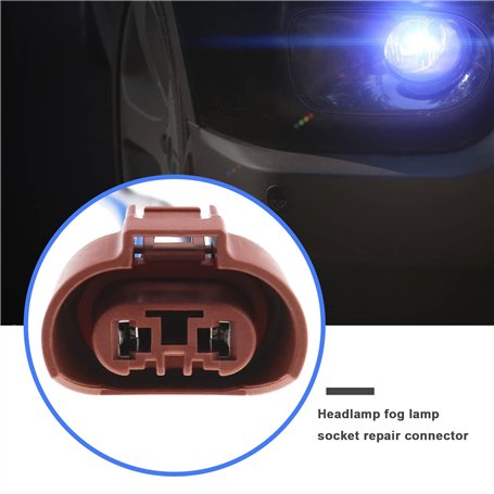 Sakura (Card Captor) -Intégrale-Edition Collector (12 DVD)