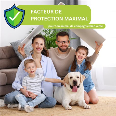 Android Box TV - H96 Max (Nouvelle génération) Android 14.0 Streaming Box - Compatible Assistant Vocal - 4K UHD - Chromecast Bui