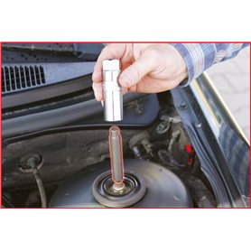 Eichhorn 100004592 Crocket Multicolore