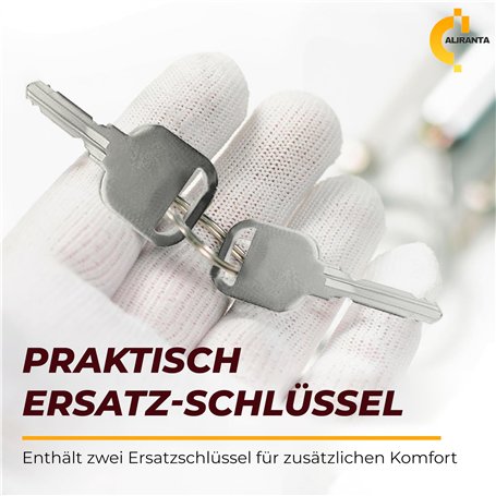 Alberts 820312 Equerre de panneau perforé | galvanisé sendzimir | 100 x 100 x 100 mm | kit de 25