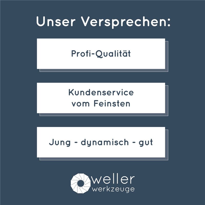 Schneider Stylo roller Breeze 188831 (fabriqué en plastique recyclé, récompensé par l'ange bleu, couleur de l'encre : bleu roi,