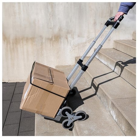 Bullyland - 69390 - Pion - Paon