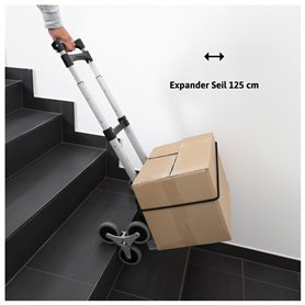 Staedtler 562 - Polybag 2 Règles Plates Transparentes 15 Cm Pour Gauchers & Droitiers