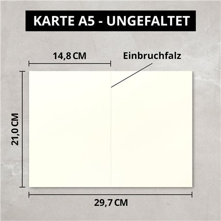 Fackelmann 31440 Attendrisseur à viande