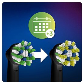 HABA - Logic! Games - Les Acrobasticots - Jeux de société - Jeux de logique - 60 Casse-têtes - 5 Ans et Plus - 306817