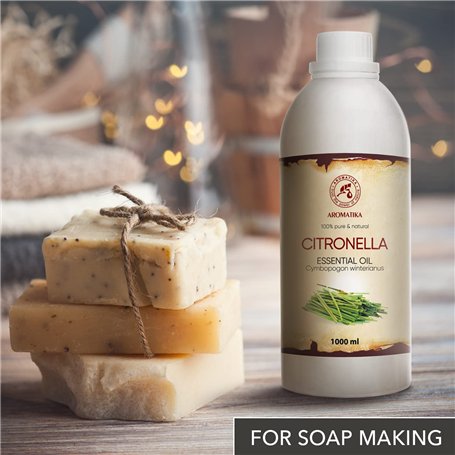 HABA Terra Kids Boomerang 2011894001 - Trois ailes en mousse rigide avec instructions de lancement (français non garanti) - Conv