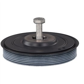 Buffy: im Bann der Dämonen-Staffel 1-7 (Komplett [Import]