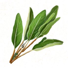 reer TravelKid Go harnais de sécurité et de marche pour enfants