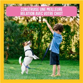 Lamy Lot de 3 stylos d'apprentissage 009 adaptés aux enfants en bois d'érable, poignée antidérapante en bleu, plume en acier fin