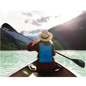 Febi 44121 Rotors de disques de frein