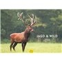 Edition Seidel Calendrier mural 2026 de qualité supérieure - Format DIN A3 - Motif animaux sauvages - Cerf - Sanglier - Canard -