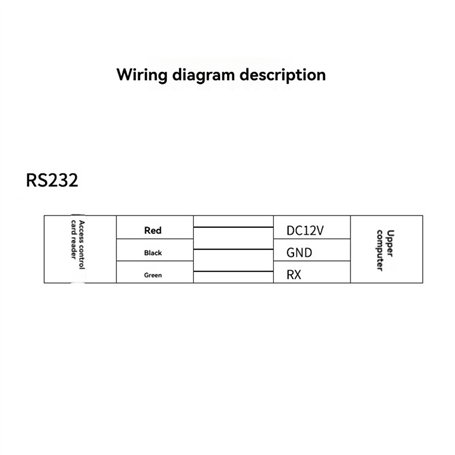 Nobby Chaîne Ras du Cou Deux rangées Chromé