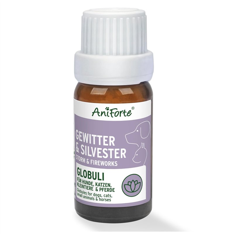 BRILLIANT TOOLS BT103103 Brosse boisseau, Ø 65 mm avec embout M14 x 2,0 mm [Powered by KS TOOLS]