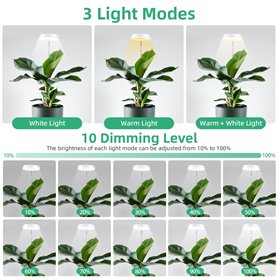 Bosch BD492 Disques de frein - certification ECE-R90-1 jeu de 2 disques