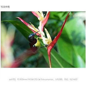 LEMFÖRDER 25172 02 Biellette De Barre Stabilisatrice Pour Mercedes-Benz CLASSE C (W203) 2000-2007 Des Deux Cotés, Essieu Avant E