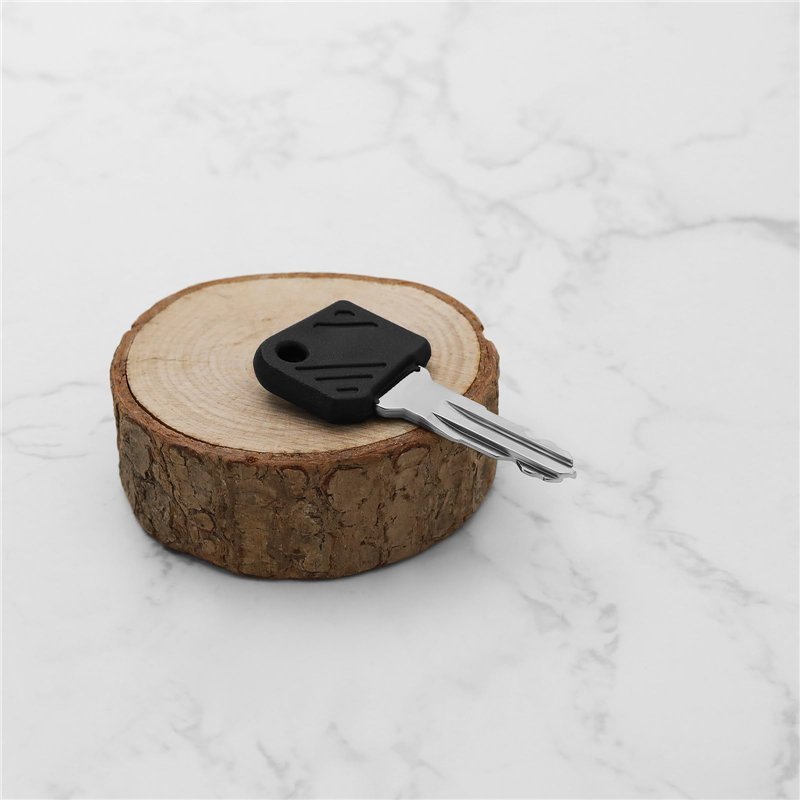 BOSCH PowerMore 250 Kit (UE) (BBP3620) avec support de batterie intelligent noir