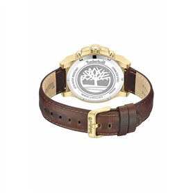 vhbw Filtre à eau compatible avec Krups Orchestro Plus Fnf 543