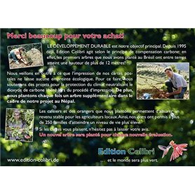 Maillot de Football à Manches Courtes pour Homme Adidas México 1ªEquipación (S)