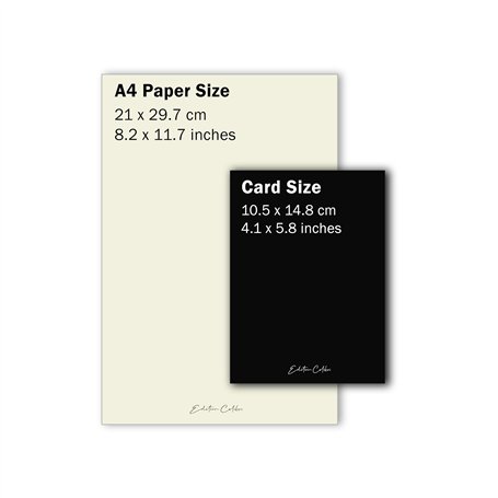 Chaussures de Football pour Adultes Puma Ultra 5 Play Mg