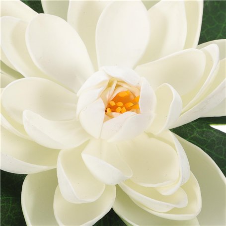 Lantelme 5021 - Kit d'accessoires de couture en bois de hêtre - Champignon à coudre - Bouchons de chaussettes - Aguignon mouche