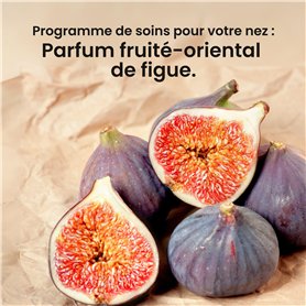 POFLO Engrais liquide professionnel NPK pour lys africains (Bot. Agapanthus) (500 ml)