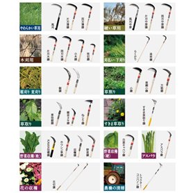 Japonais Jeu d'adresse