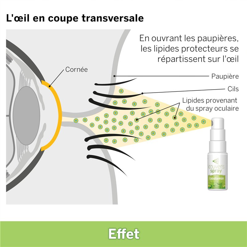 vhbw Filtre compatible avec Rowenta X-Trem Power Cyclonic RO6242ea/410