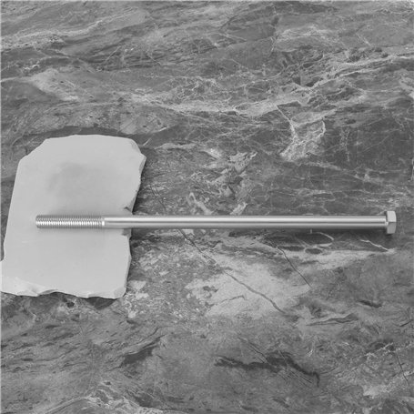 Arroche des jardins verte (Atriplex hortensis) env. 100 semences