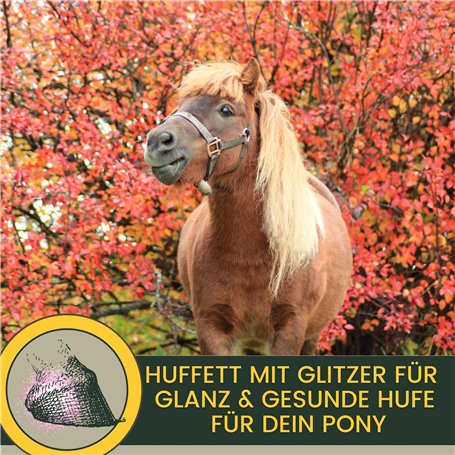 Utilisation de la protection auditive : M003 – DIN EN ISO 7010 / ASR A1.3 – Autocollants : Ø 10 cm, lot de 4