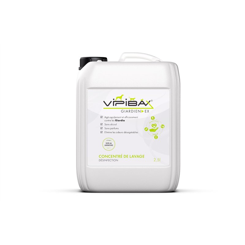 Animaux marins | Turbulette