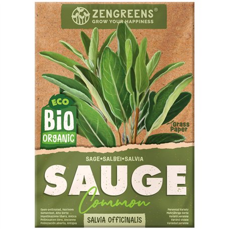 ZenGreens® – Graines de sauge bio - Graines d'herbes aromatiques à cultiver facilement au jardin