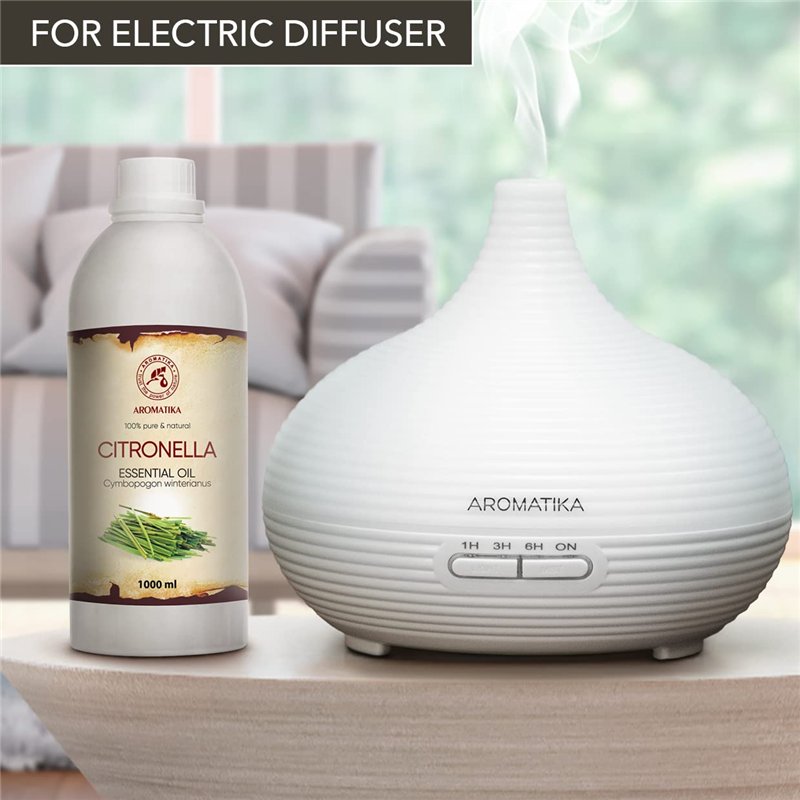 LEBENLANG Coffre fort 43L - Avec capteur d'empreintes digitales & porte-documents anti feu I Coffres-forts et accessoires de pou