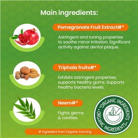 Disque Dur Externe Team Group TPSEG2002T0C108 Noir Coquillage SSD 2 TB SSD