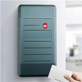 combat la plaque dentaire