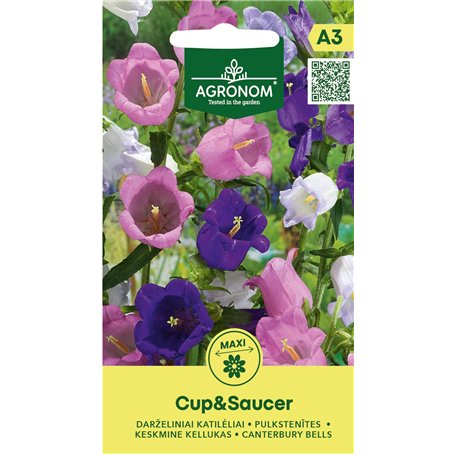 AGRONOM | Graines de Clochettes de Marie - CUP&SAUCER | Graines de fleurs | Graines de plantes | Plantes bisannuelles