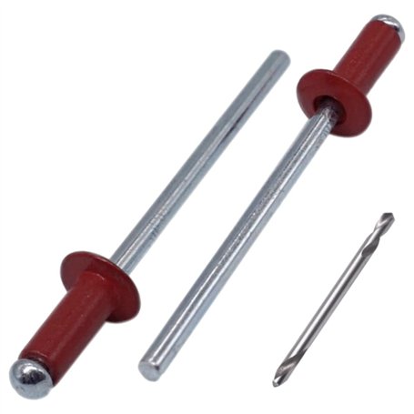 SKIR'CO Lot de 100 rivets aveugles peints 4