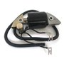 Borimend Bobine D'Allumage de Moto pour G150 G200 G300 G400 30500-887- 30560-883-015