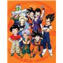 Dragon Ball Z - The Complete Series