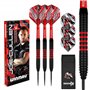 WINMAU Darts Joe Cullen Rockstar 20g Laiton Jeu de fléchettes avec ailettes et tiges de fléchettes et Carte de Score Incluse