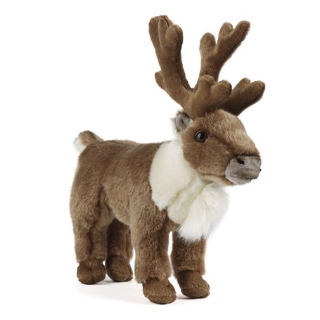 Living Nature Renne Debout