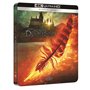 Les Animaux fantastiques : Les Secrets de Dumbledore [4K Ultra HD + Blu-Ray-Boîtier SteelBook limité]
