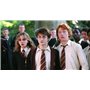 Wizarding World : Intégrale Harry Potter + Les Animaux Fantastiques : 11 Films [DVD]