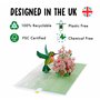 Central 23 Carte Pop Up Colibri Et Fleurs – Carte De Voeux 3D Pour Anniversaire, Fête Des Mères, Bon Rétablissement – Cadeau Pou