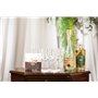 Lot de 6 verres à pamppa et cordial en cristal | Petits verres à spiritueux à tige longue de 85 g pour liqueur, apéritif, digest