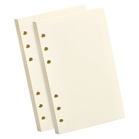 160 Feuilles Papier de Recharges A5 6 Trous Feuillets Mobiles A5 Vierge Feuillets Mobiles pour Agenda
